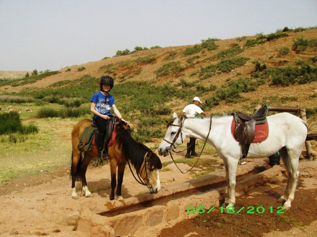 Horse Riding in High Atlas day excursion
