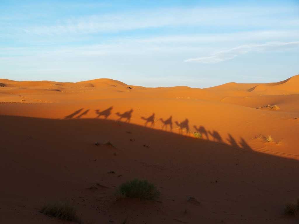 Wandern M’Goun und Sahara Wüste