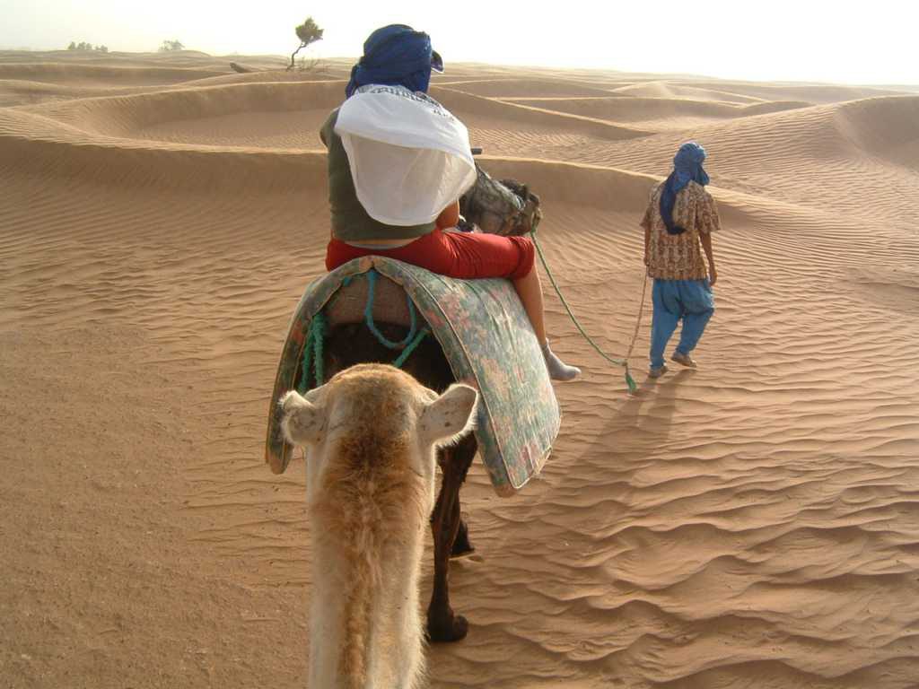 Wüstenwanderung mit Kamelen