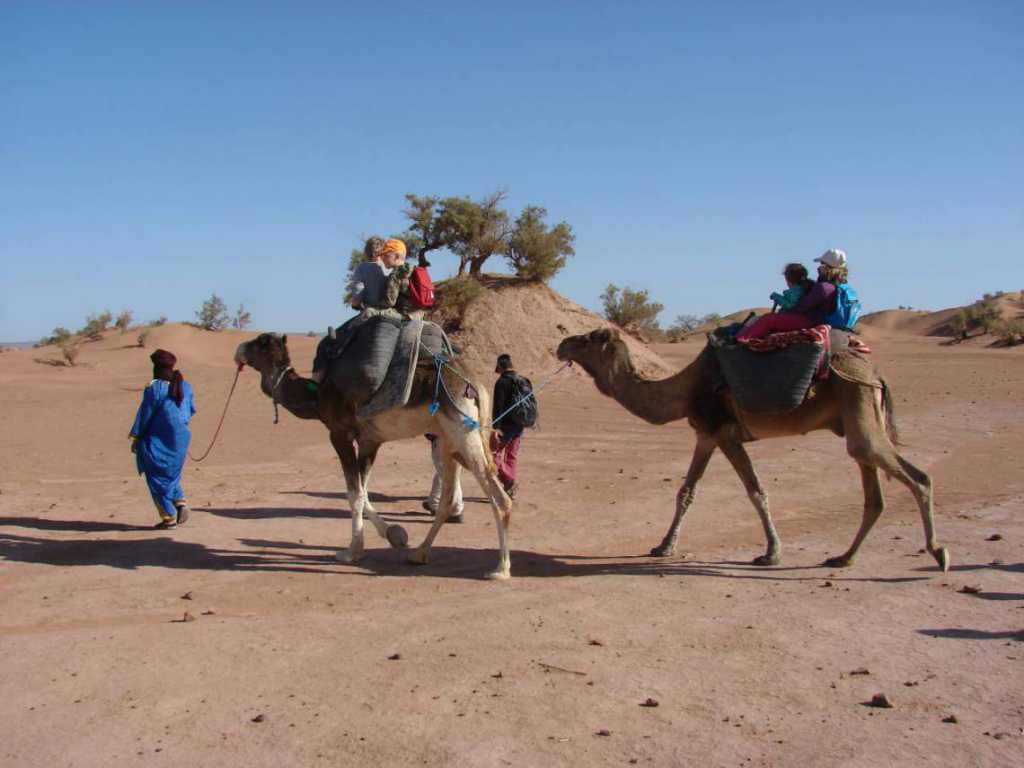 Jour 5 - Desert Trek avec des chameaux