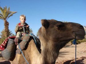 camel safari in the desert